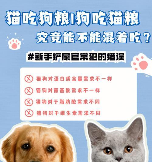 为什么狗狗应该吃犬粮？全面解析犬粮的重要性(图2)