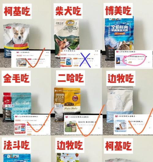 博美拉肚子原因及饮食注意事项(图3)