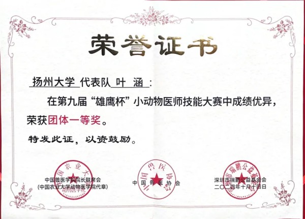 扬州大学兽医学院四人保研团队闪耀雄鹰杯(图30)