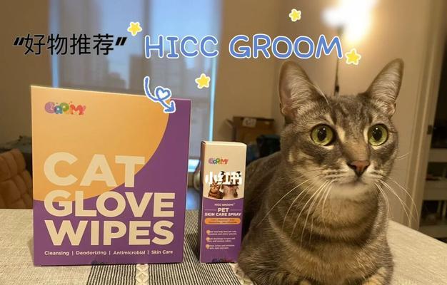 揭秘猫咪排汗方式与健康关系(图2)