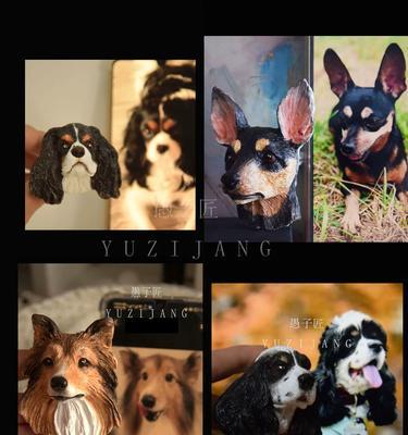 苏牧与喜乐蒂：性格能力背景对比分析(图2)