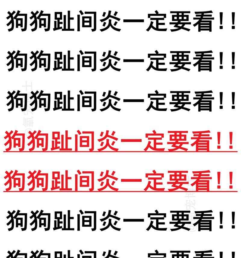 Why Dogs Love Sniffing Human Feet(图2)