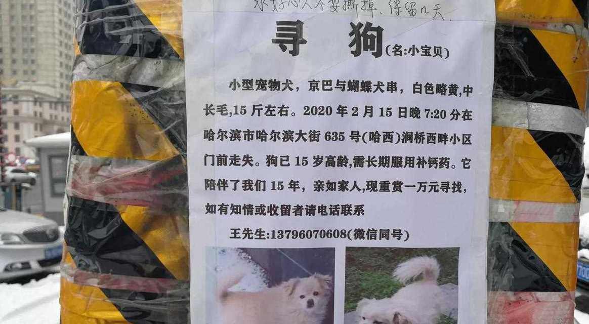 走失狗狗找回电话大全(图2)