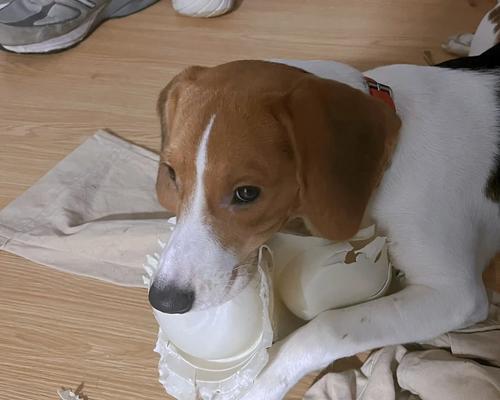 比格变色原理及科学解释(图2)