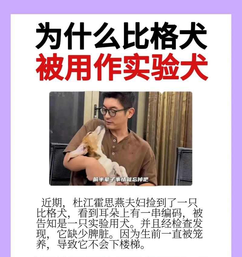 比格变色原理及科学解释(图1)