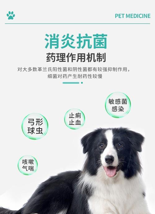 小狗弓形虫感染治疗方案与药物推荐(图2)