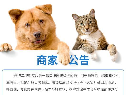 小狗弓形虫感染治疗方案与药物推荐