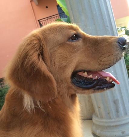 最佳剃毛时间与方法指南(图3)