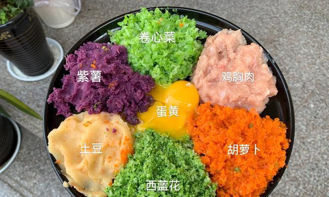 泰迪七个月饮食指南：健康成长的关键(图1)