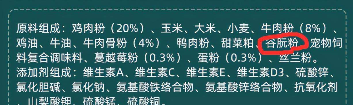 泰迪七个月饮食指南：健康成长的关键(图3)