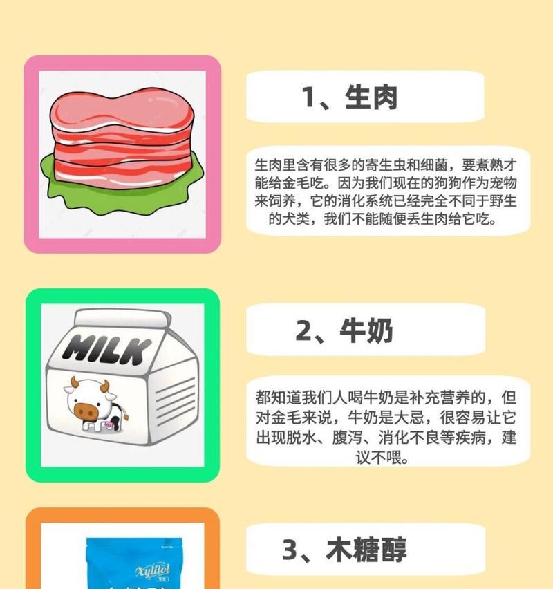 金毛成犬最佳饮食指南