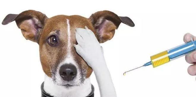 揭秘以7联疫苗作用与接种指南｜儿童健康守护全攻略(图2)