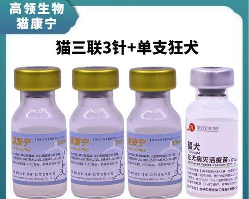 狗狗打疫苗种类与接种时机全攻略｜保护爱犬健康(图2)