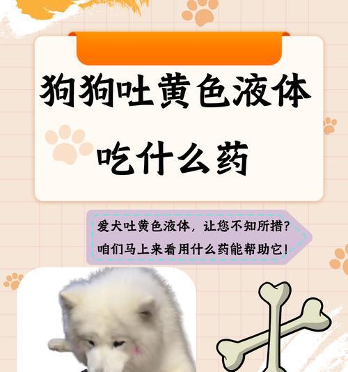 狗身上起包用什么药最有效｜治疗方法全攻略(图3)