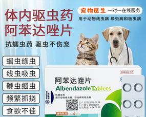 狗身上起包用什么药最有效｜治疗方法全攻略(图2)