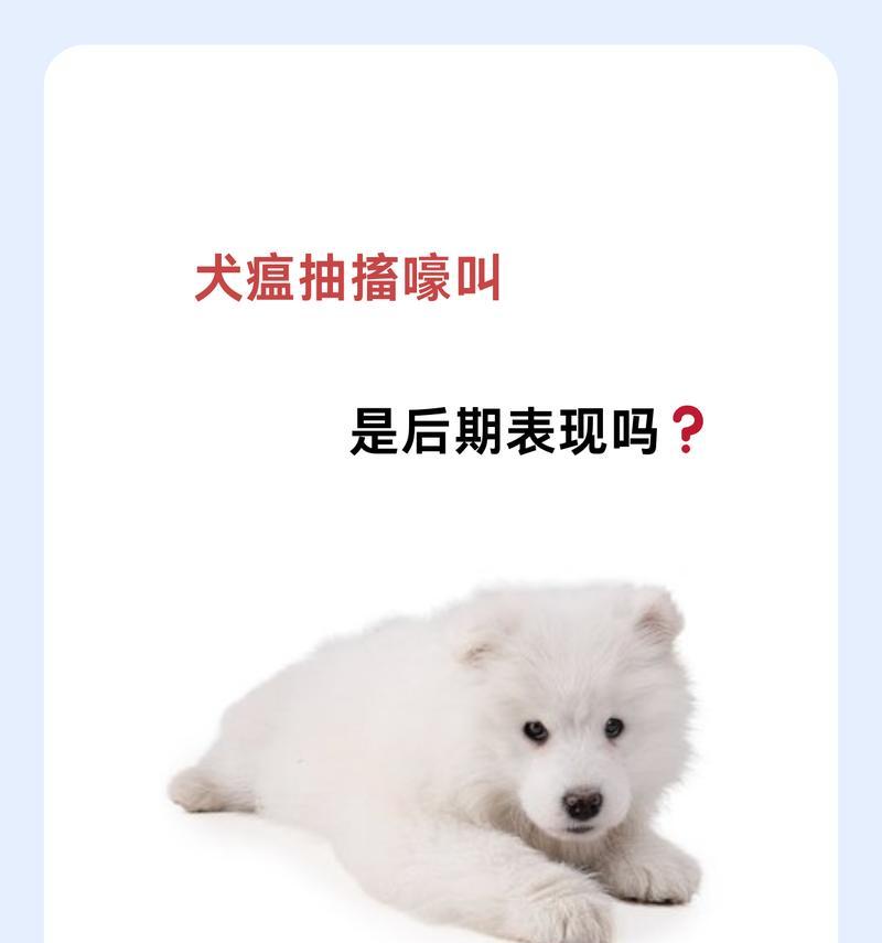 小狗患上狗瘟的症状识别与防治方法｜实用指南(图2)