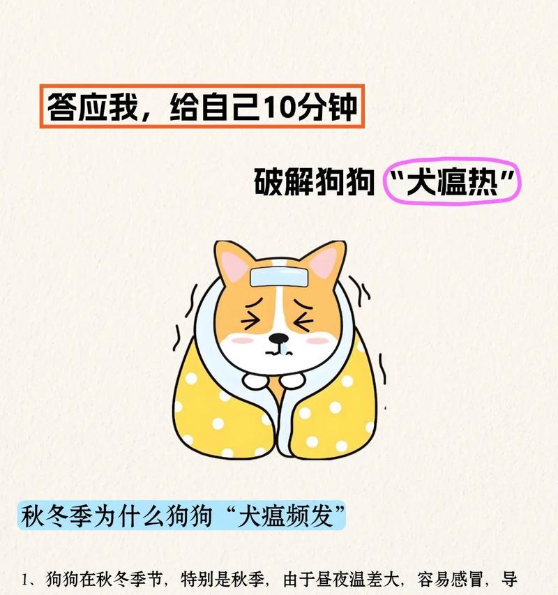 小狗患上狗瘟的症状识别与防治方法｜实用指南(图3)