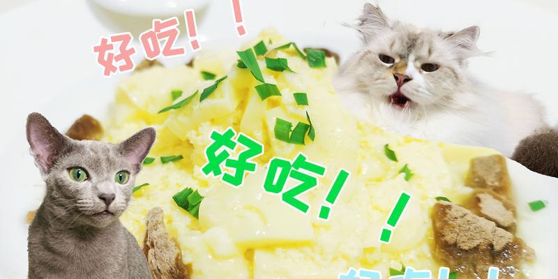 为什么成犬吃奶糕不好？潜在风险与健康替代方案全解析(图1)