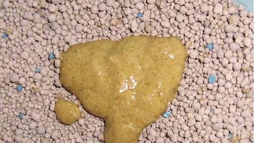 拉大便不成形的原因及处理方法｜预防改善全指南