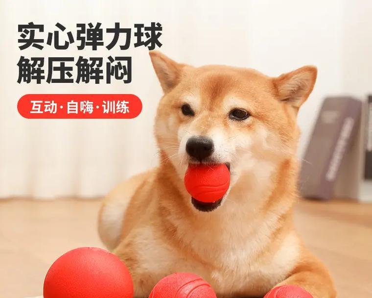 小狗训练中最适合的球类及其好处（以网球为例，揭秘小狗训练中最