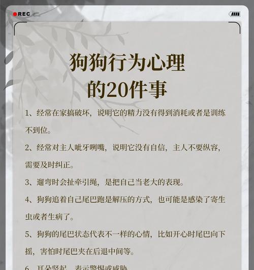 为什么狗狗会追自己的尾巴？（探究狗狗追尾巴的原因及行为背后的心理因素）(图3)