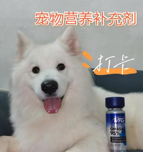 以ro什么宠物吃宠物饲料？（探讨适合不同宠物食用宠物饲料的优势和注意事项）(图2)