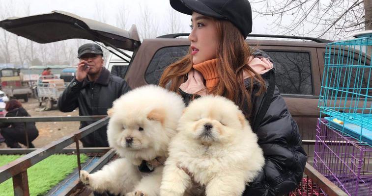 女人为什么愿意当母狗？（探究女性对母性的追求和满足）(图2)