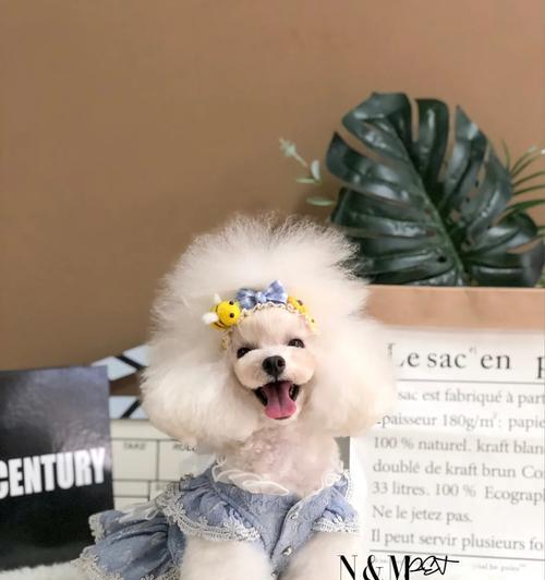 贵宾板凳体（贵宾板凳体）(图3)