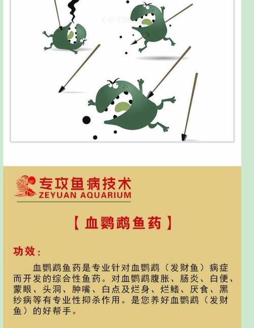 探究以鱼得了肠炎的原因（揭秘鱼类传播肠炎的关键因素）(图3)