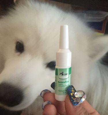 狗狗眼睛消肿的有效药物及方法（药物治疗与自然疗法，）(图2)