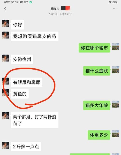 猫流眼屎的原因及应对方法（揭秘猫咪流眼屎的秘密，教你有效解决眼屎问题）(图1)