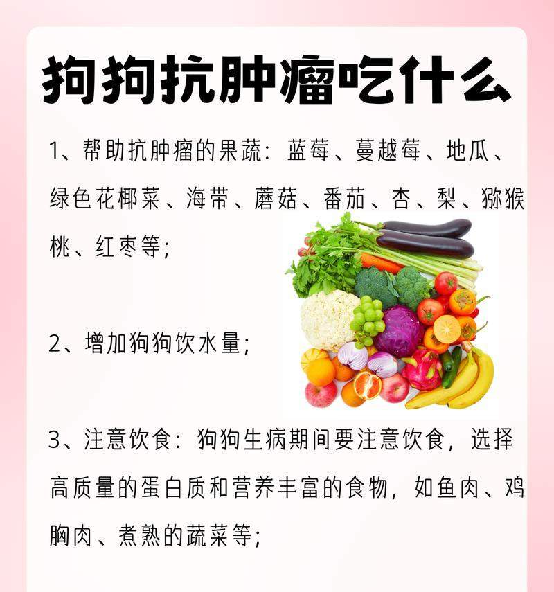 狗狗的蛋白补充（通过饮食补充蛋白质，让你的狗狗保持健康和活力）(图3)