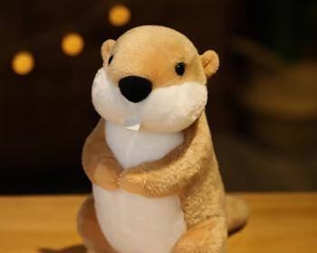 小头大身的玩偶（探索玩偶设计中的身体比例与头部尺寸之谜）(图3)