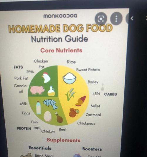 拉布拉多的营养需求与饮食搭配（探究拉布拉多犬的健康饮食要点与注意事项）(图2)