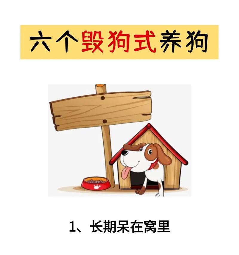 养狗前的必备条件（打造舒适宜居的狗生活环