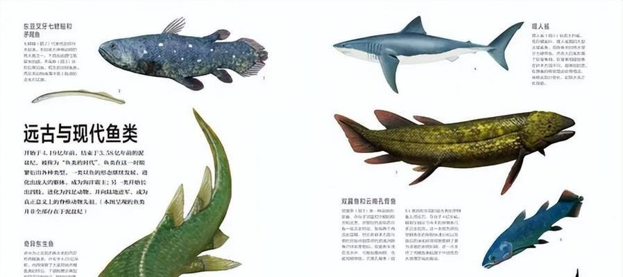 鱼在水中呼吸急促的原因（深入探究鱼类呼吸机制与环境适应力）(图2)