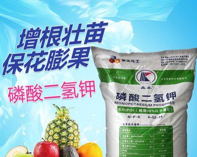 养杜高的注意事项（打造健康快乐的杜高生活）(图1)