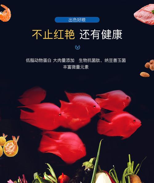 鹦鹉鱼苗科学饲养方法|健康成长全攻略(图1) 鹦鹉鱼苗科学饲养方法|健康成长全攻略(图1)