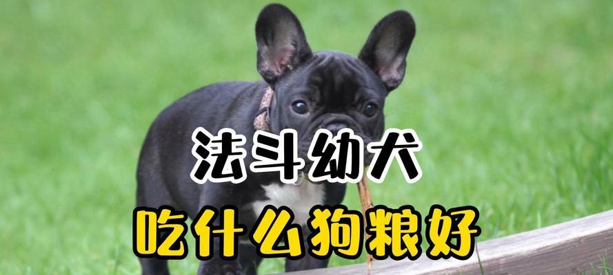可卡成犬狗粮选择技巧｜性价比高营养均衡指南(图3)