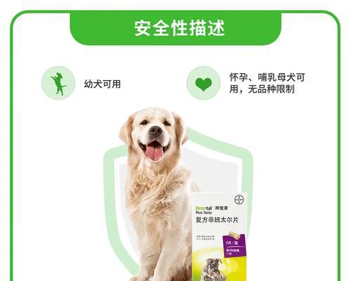 金毛幼犬驱虫指南|科学用药保障健康成长(图3) 金毛幼犬驱虫指南|科学用药保障健康成长(图3)