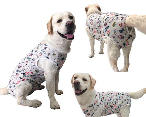 狗只为何多生公犬？科学解析与原因探究(图2)