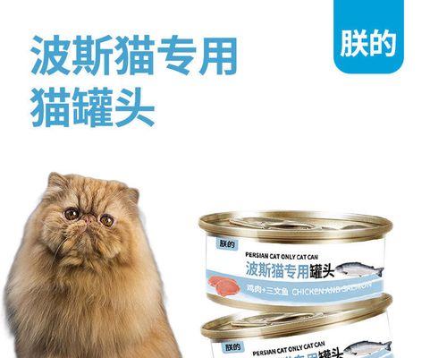 波斯猫怀孕饮食指南｜科学喂养全攻略
