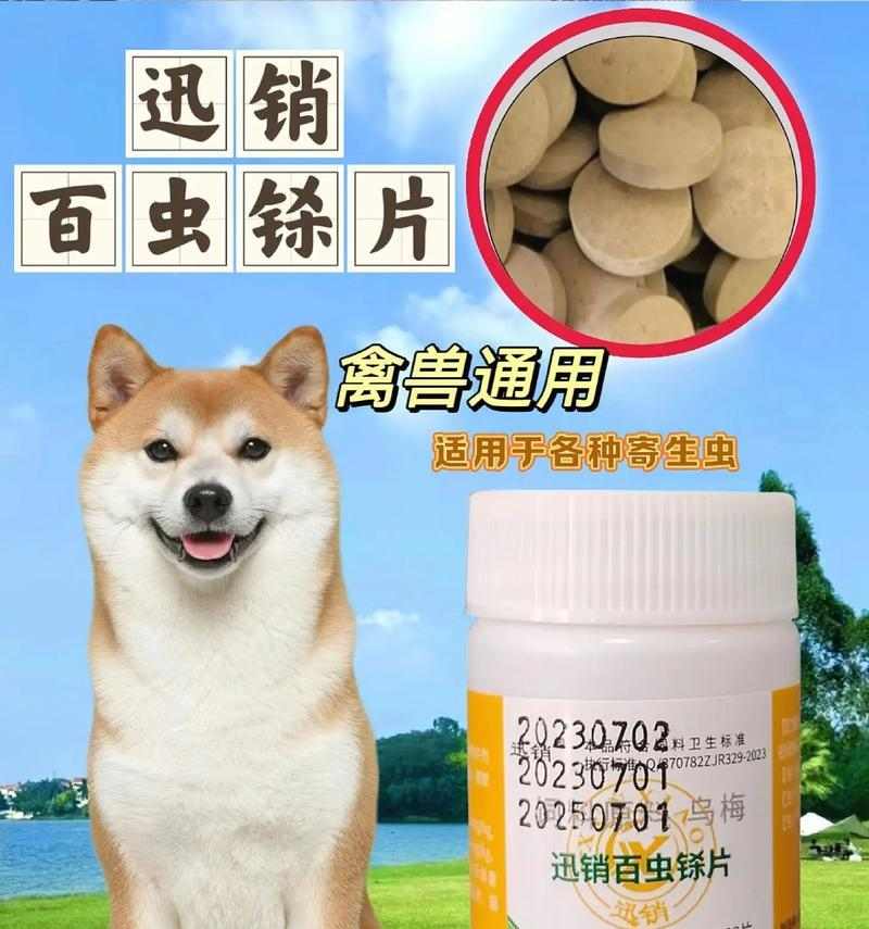 狗身上寄生虫危害与预防全攻略(图1)