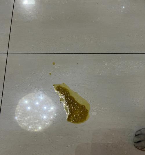 猫呕吐原因及解决方法｜常见诱因与护理指南