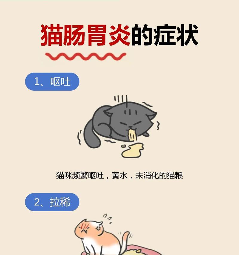 猫呕吐原因及解决方法|常见诱因与护理指南(图3) 猫呕吐原因及解决方法|常见诱因与护理指南(图3)