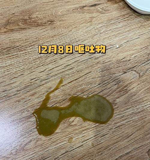 猫呕吐原因及解决方法|常见诱因与护理指南(图2) 猫呕吐原因及解决方法|常见诱因与护理指南(图2)