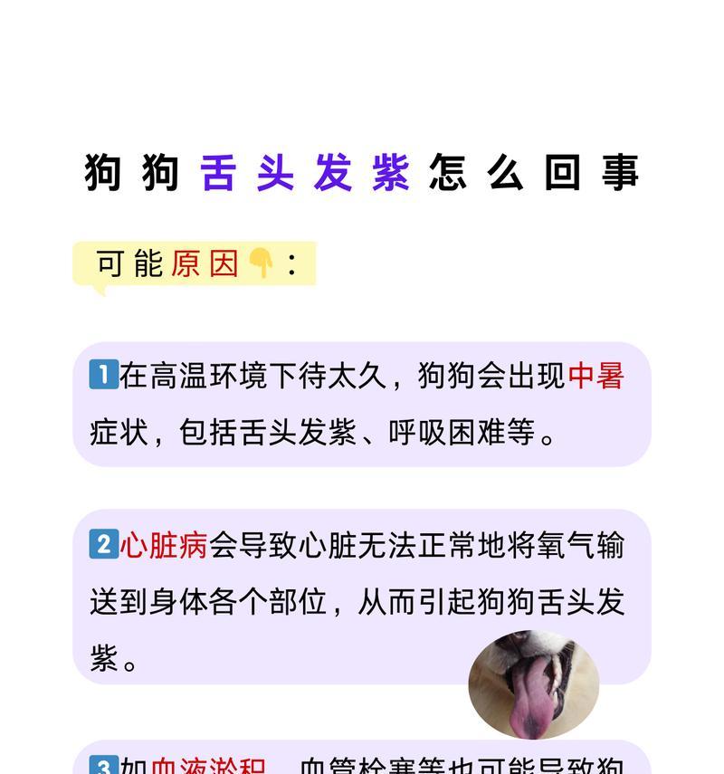 狗伸舌头原因揭秘｜生理与心理双重解析(图3)