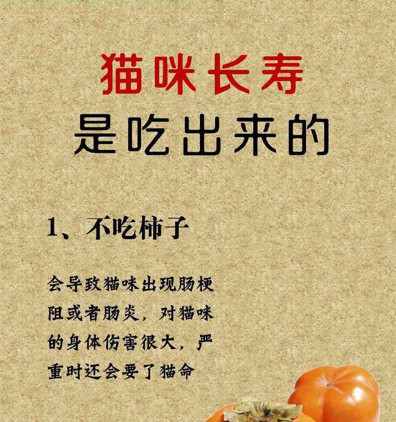 猫咪清淡饮食指南|科学喂养全攻略(图3) 猫咪清淡饮食指南|科学喂养全攻略(图3)