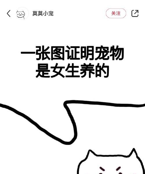 小女孩养宠物指南|选择适合的宠物培养责任感与爱心(图3) 小女孩养宠物指南|选择适合的宠物培养责任感与爱心(图3)