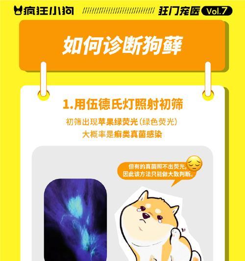 治疗狗皮肤病药物选择全攻略(图2)